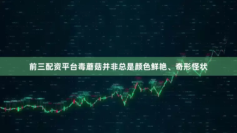 前三配资平台毒蘑菇并非总是颜色鲜艳、奇形怪状